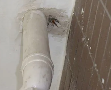 平顺漏水检测哪家好